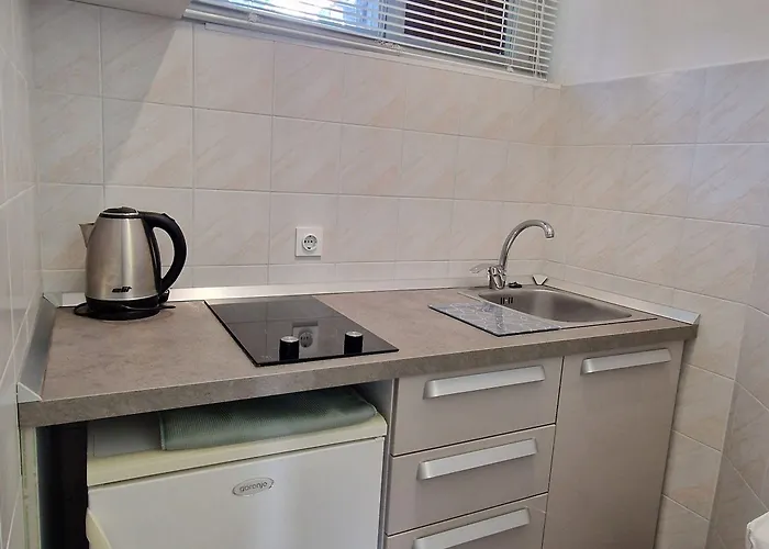 招待所 Art Ines 扎达尔