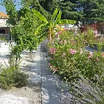 Casa de hóspedes Art Ines 3*