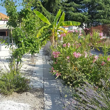 Гостевой дом Art Ines 3*